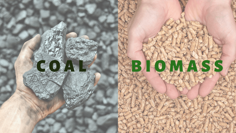 Biomass hoàn toàn là sự lựa chọn phù hợp để thay thế than đá (nguồn nhiên liệu đang dần cạn kiệt) với tính chất bền vững có thể tái tạo được và hoàn toàn là một nguồn năng lượng thân thiện môi trường.
